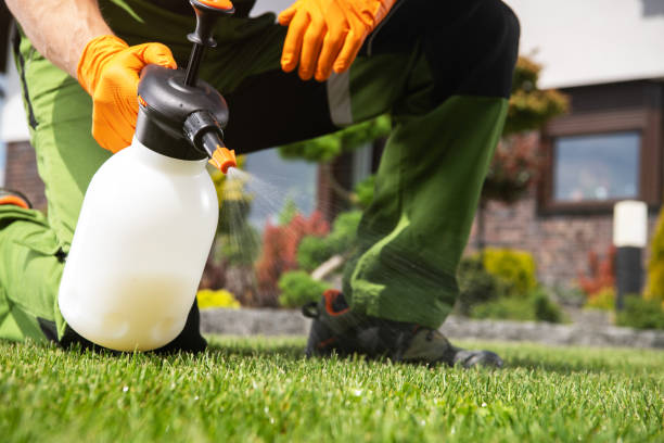 Best Termite Control Services  in Clio, AL