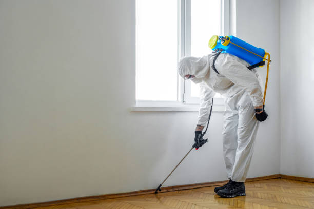 Trusted Clio, AL Pest Control Experts