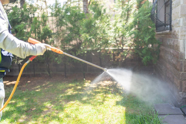 Best Pest Control for Restaurants  in Clio, AL