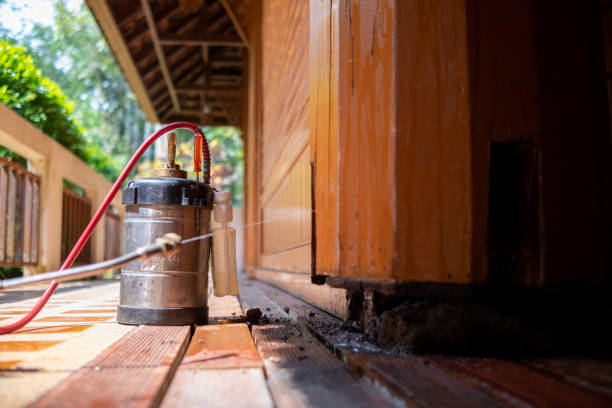 Wasp Removal Services in Clio, AL