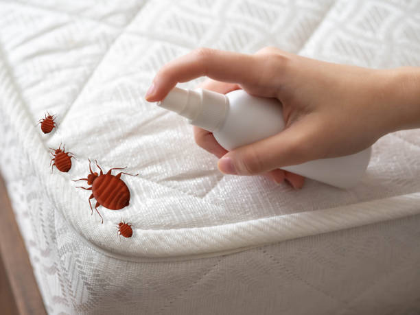 Best Commercial Pest Control Services  in Clio, AL